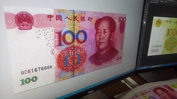 打假